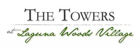 lagunawoodstowers.com